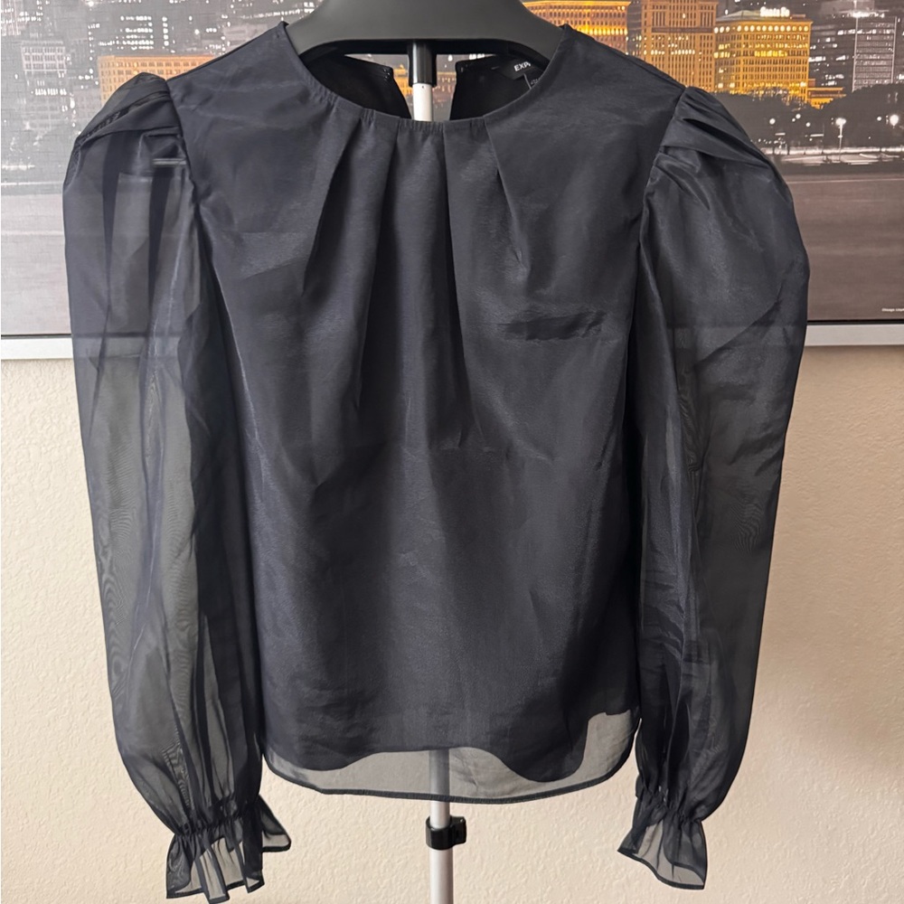 Express Black Sheer Blouse